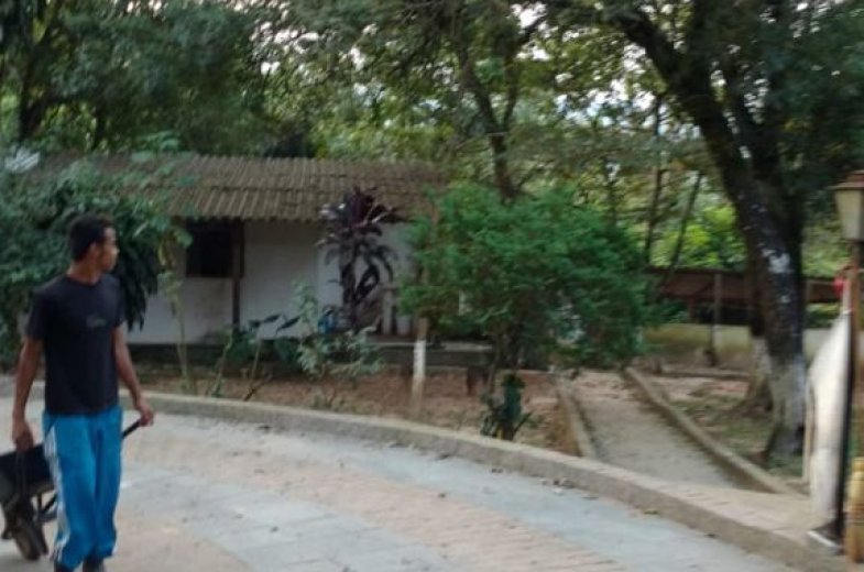 Foto