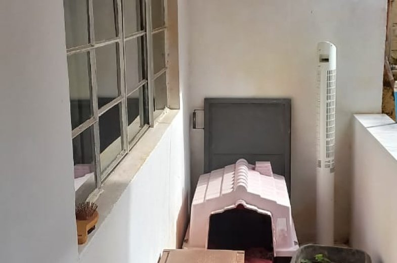 Foto